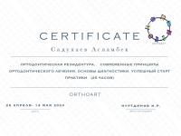 Сертификат врача Садулаев А.Х.