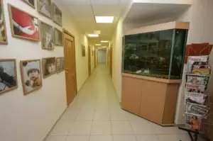 Фотография Здравица 1